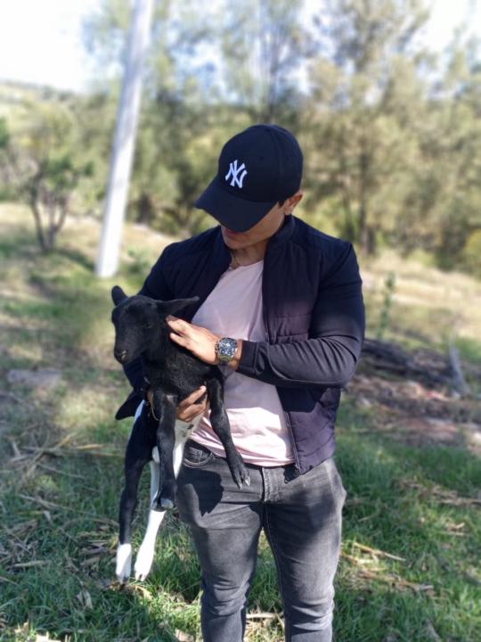 Josue Espinosa Najera