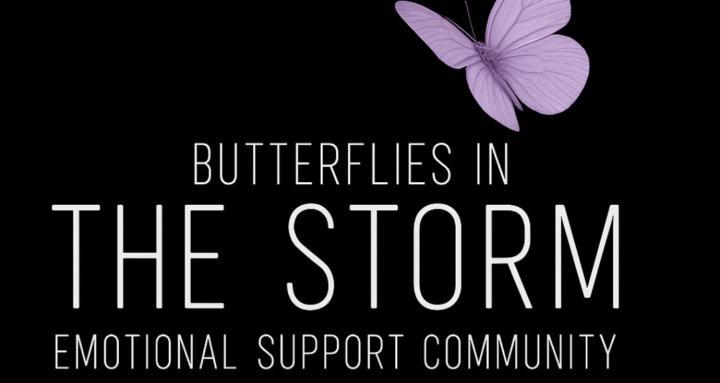 BUTTERFLIES IN THE STORM