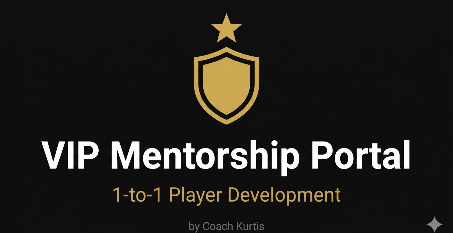 VIP Mentorship Portal: 1-to-1 Development