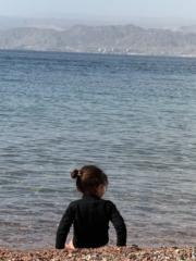 בהדין אבו חאמד