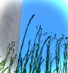 Andrea Knecht-Brexel