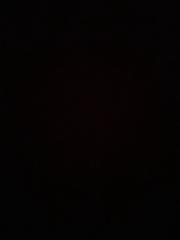 Thomas Fitzpatrick Shortt