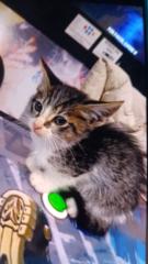 Franklin Arias Escarcena