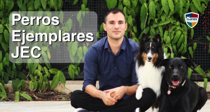 Perros Ejemplares JEC
