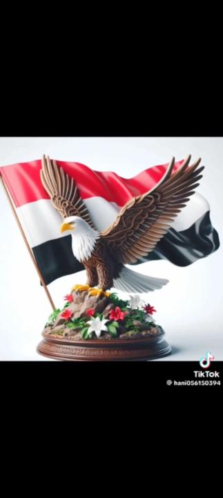 أبو بكر حاج