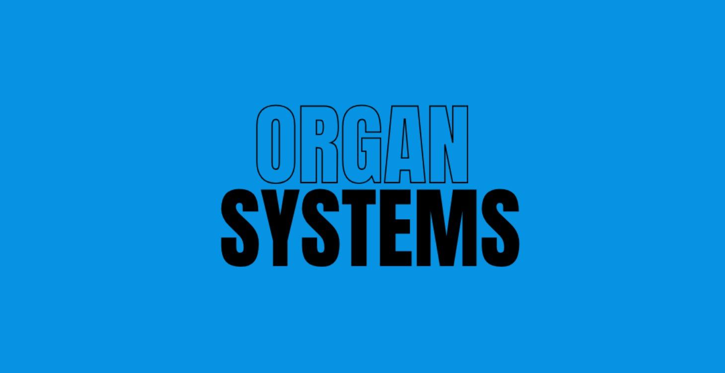 Organ Systems