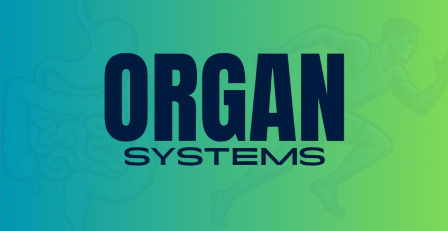 Organ Systems