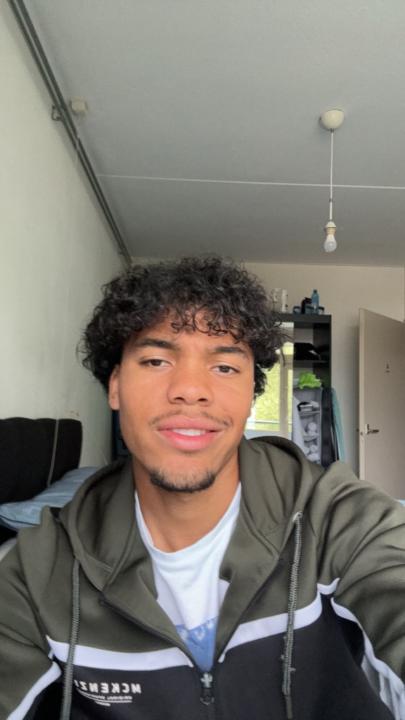 Wesley van Dijk