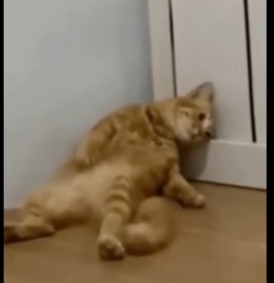 Him Him