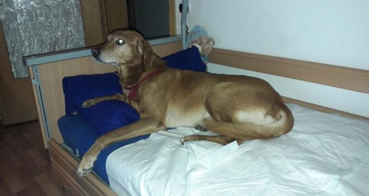 Pflegende Angehörige