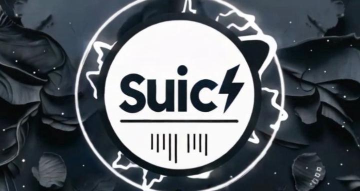 suichteam