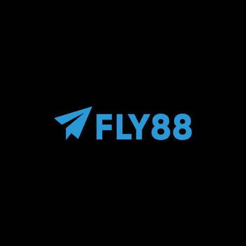 Fly com Org