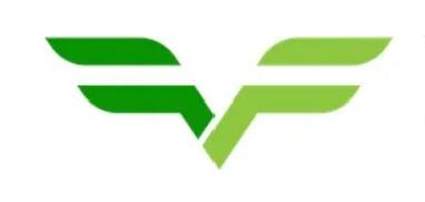 Team Vff