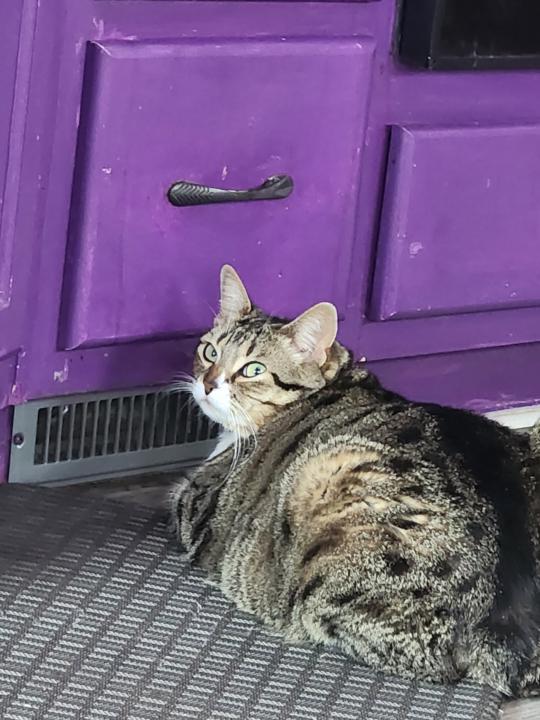 Meet Minnie!?