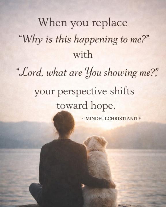 100% perspective shifter 