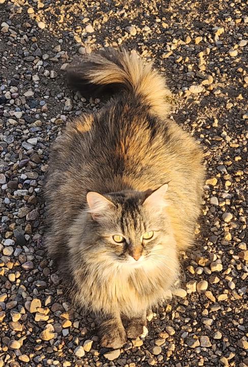 And finally ..meet Missy!!