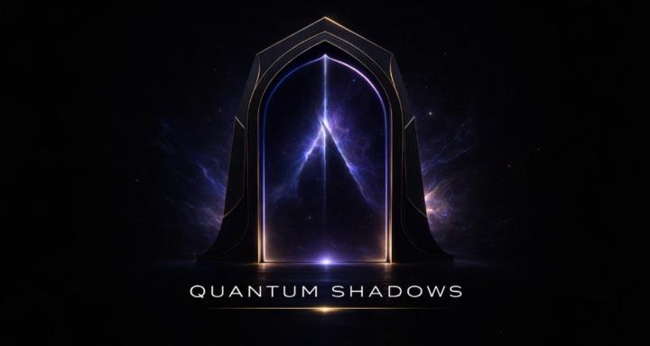 Quantum Shadows