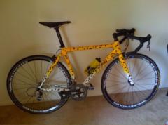 Road Biker