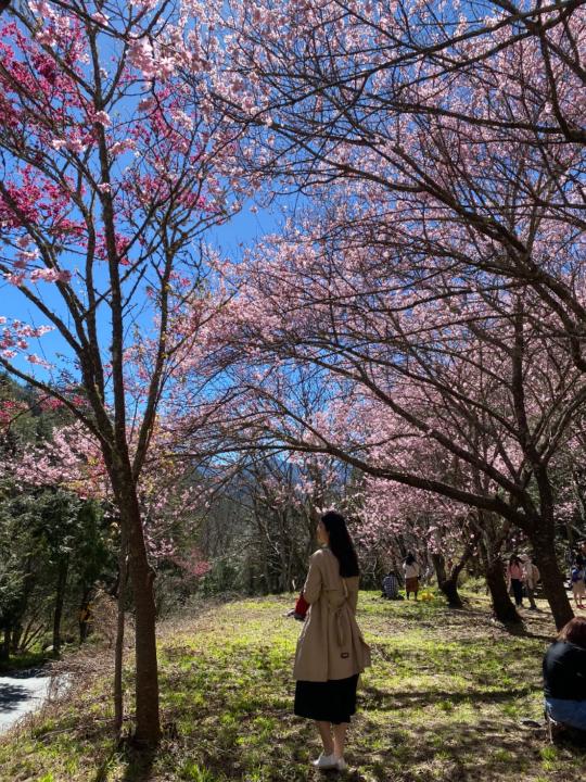 Jane Hsu
