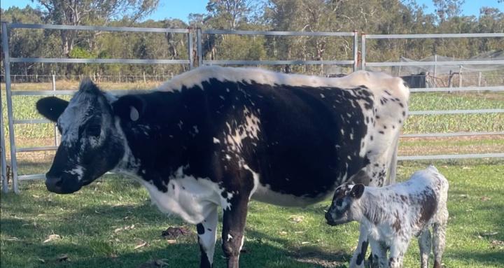 Hobby farm practices