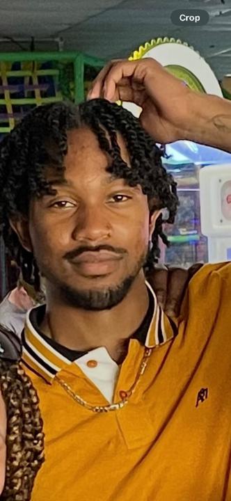 Shonary Woods