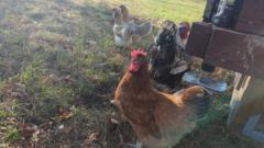 Jule Stupfel-Swartzentrub