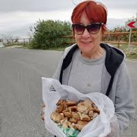 Лариса Шинкарева