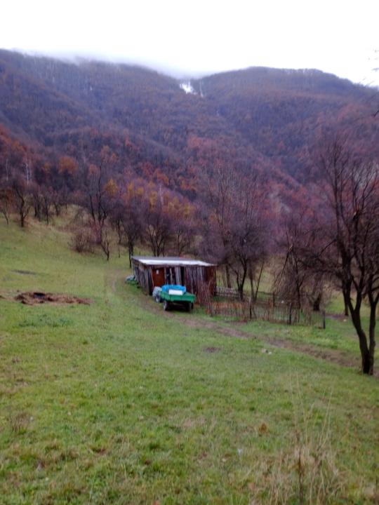 Fikret Kovac