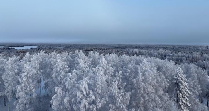 Poetry of my own design