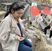 文卿 高