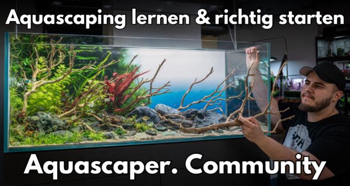 Aquascaper. Community