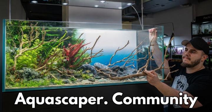 Aquascaper. Community