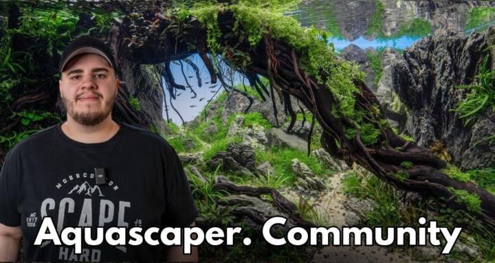 Aquascaper. Community