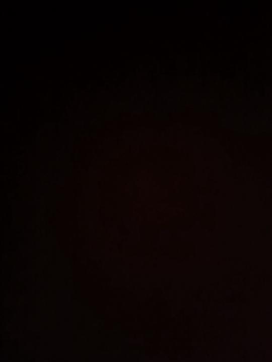 Remon Van der Meulen