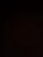 Remon Van der Meulen