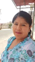 Gervasia phocco Gervasia phocco