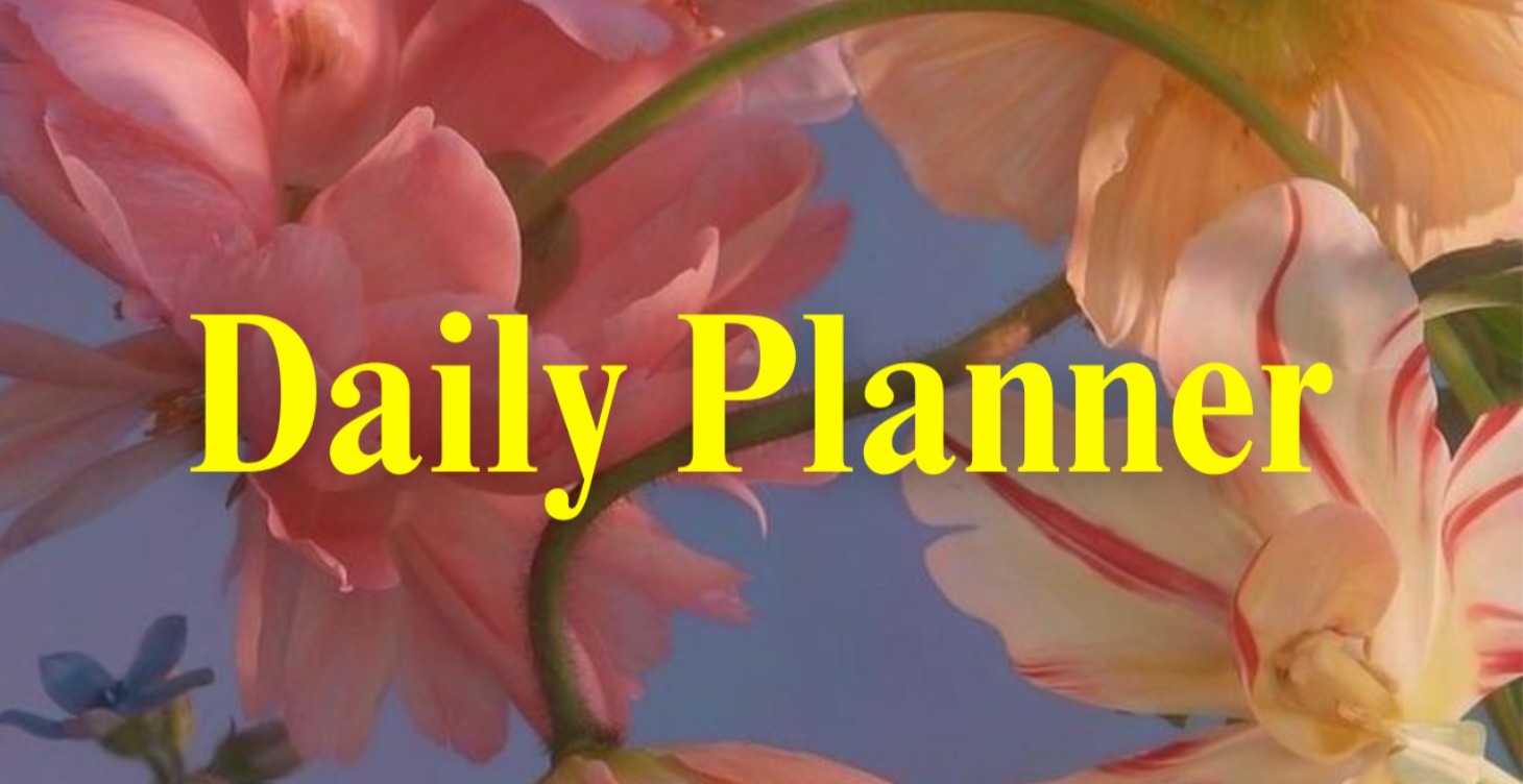 VIBE LIFE Daily Planner