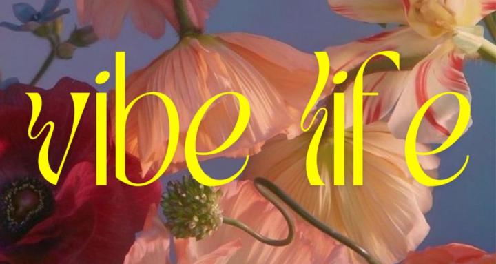 Vibe Life | With AI