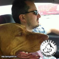 András Láda-Hartyányi