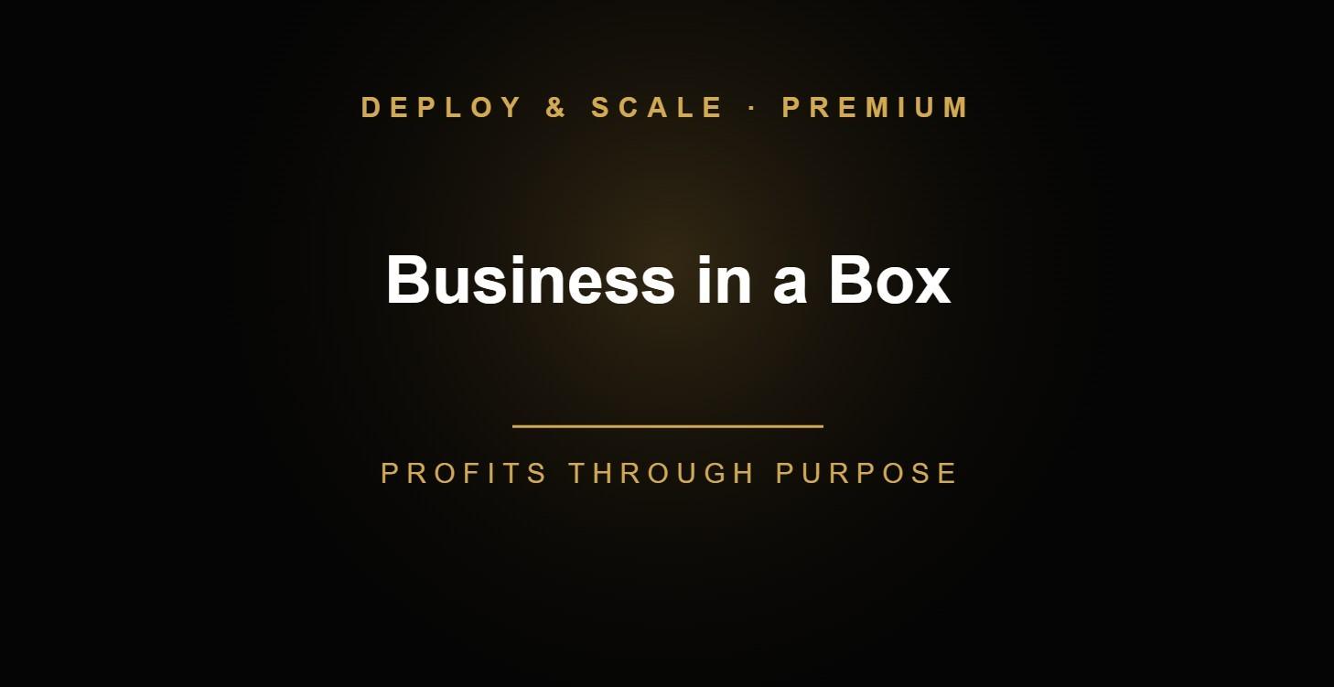 11. Business in a Box