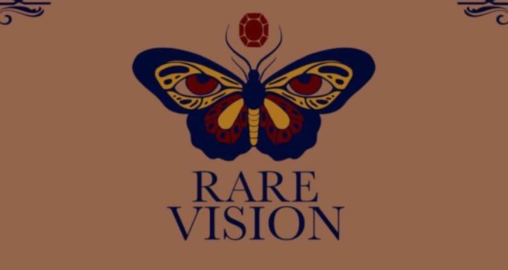 Rare Vision Academy