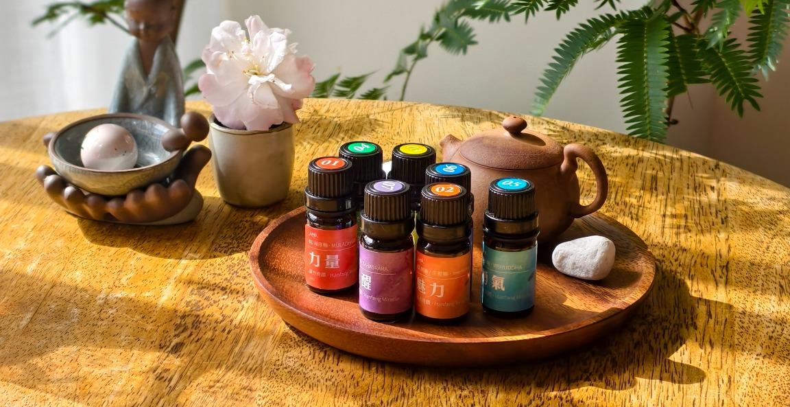 與植物共振：一門來自身體的智慧