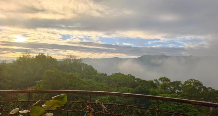 生命綠洲 SOULOASIS｜身體回歸