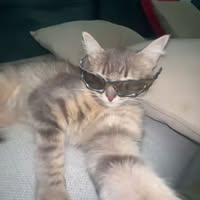 Anna Dascălu