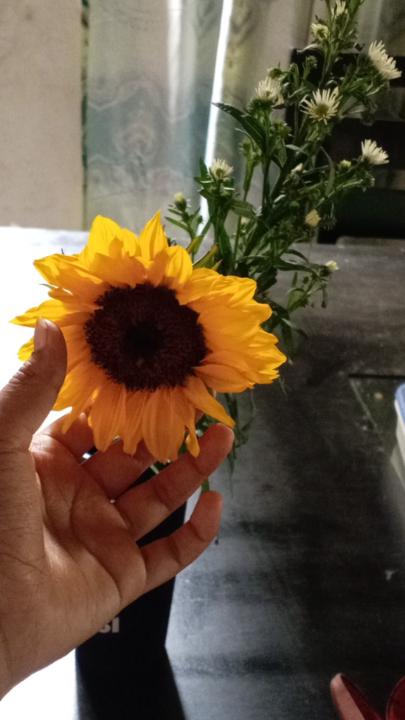 Demi sariah Silva Ramírez