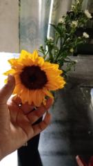 Demi sariah Silva Ramírez