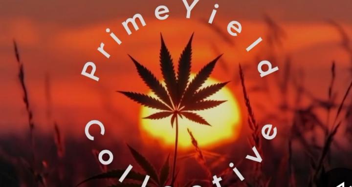 PrimeYield Collective