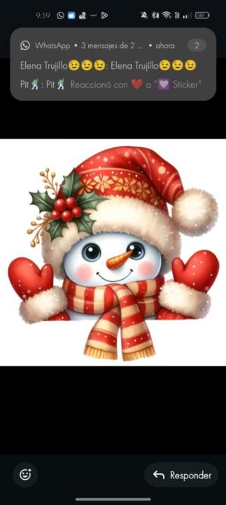 Miriam Ramírez Hernández