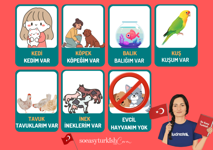 Evcil hayvanın var mı?