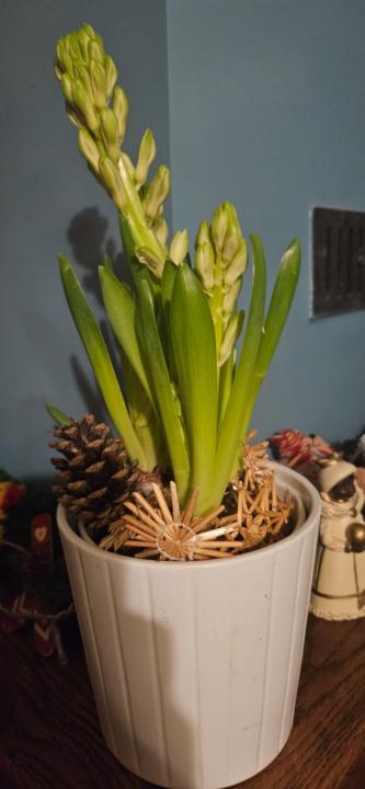 Marie-Veronique Legrand